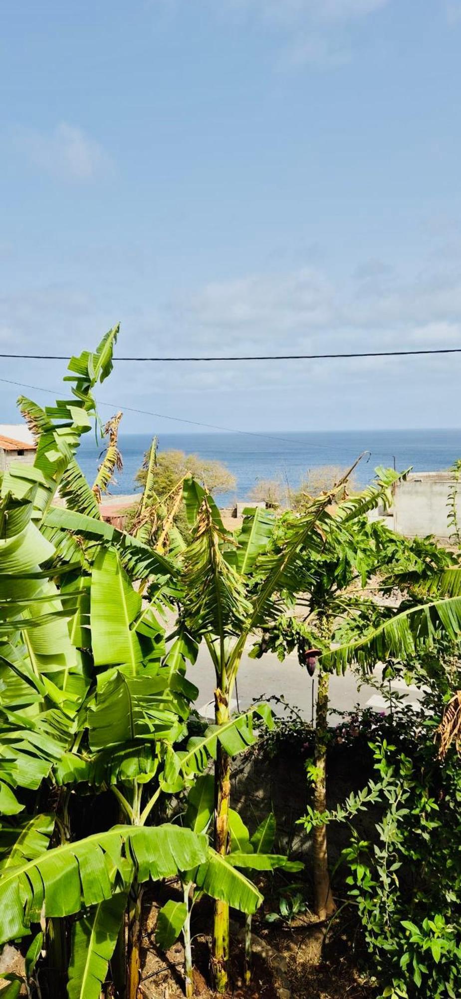 Apartament Casa Chiquinha Ribeira da Prata Zewnętrze zdjęcie